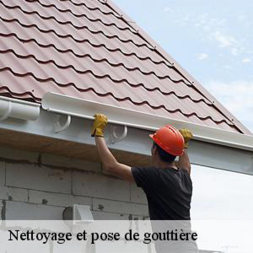 nettoyage de gouttière