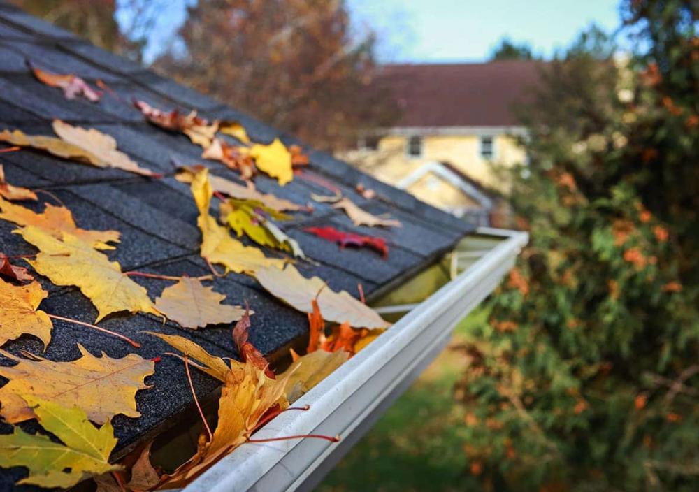 Gouttières pleines de feuilles